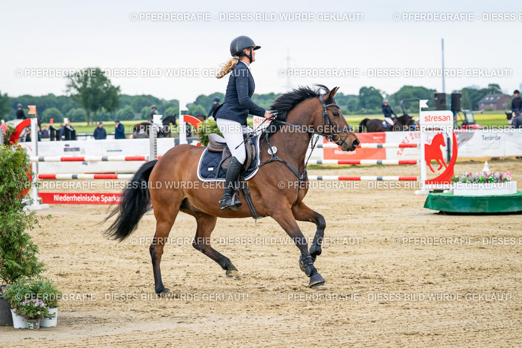 DSC05824 | Pferdegrafie