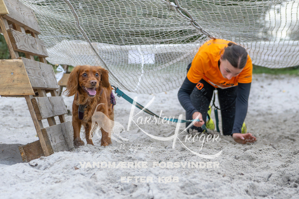 1122_ZZ96143 | kk-dogfotos