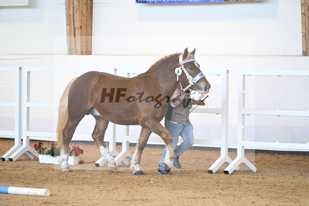 Kat-Nr. 8 v. Vandin_Urmann_2230077 | hf-fotografie - Realisiert mit Pictrs.com