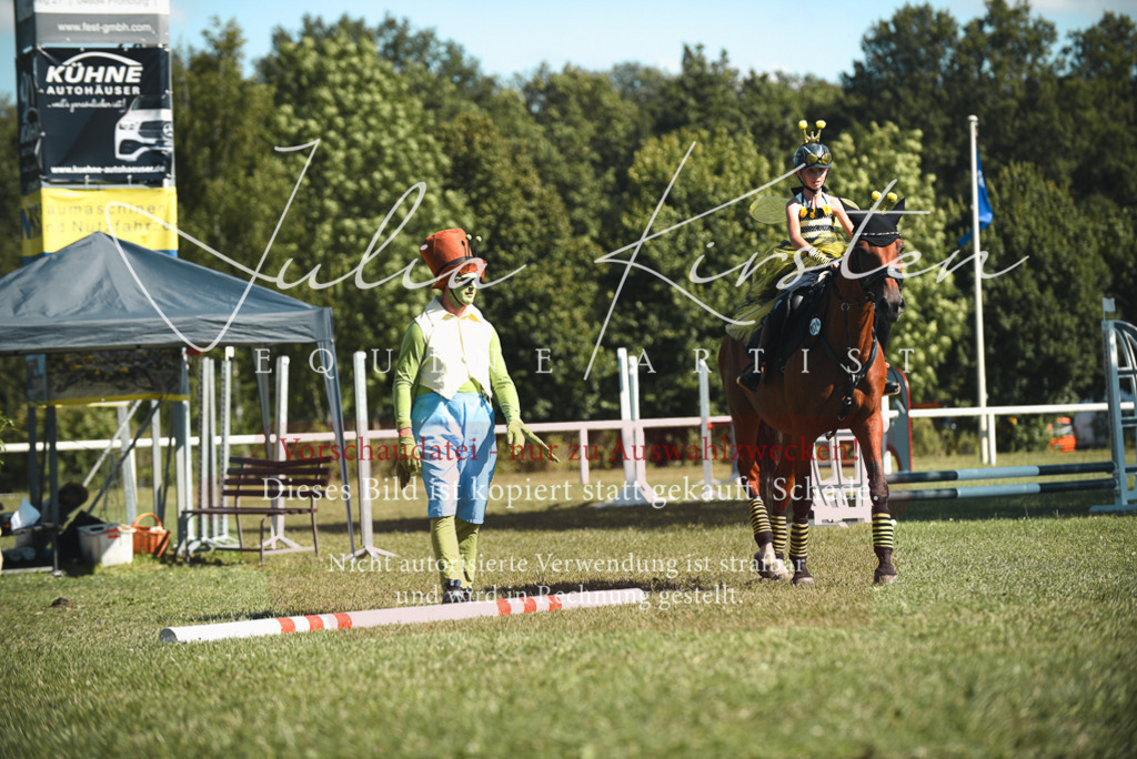 DSC_7479 | Pferde- und Turnierfotografie in Westsachsen. Pferdeportraits, Auftragszeichnungen und intuitive Kunst.