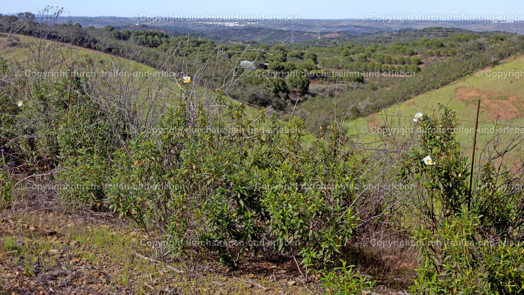 Blick aufs Dorf Vaqueiros Serra do Caldeirao | Blick aufs Dorf Vaqueiros Serra do Caldeirao - Realisiert mit Pictrs.com