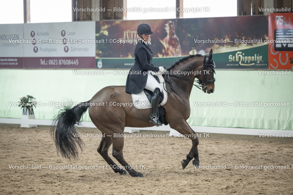 _D5A6301 | Emotionale Pferde- & People-Fotografie rund um Heidelberg, Leimen & Umgebung. Natürliche Fotos von Pferd, Mensch & Familie. Jetzt Termin sichern!