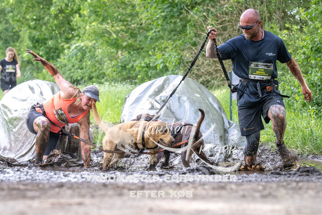 1239_ZZ92811 | kk-dogfotos