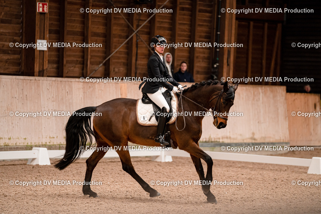 Dressur Tag 2-123 | dv-media-shop - Realisiert mit Pictrs.com