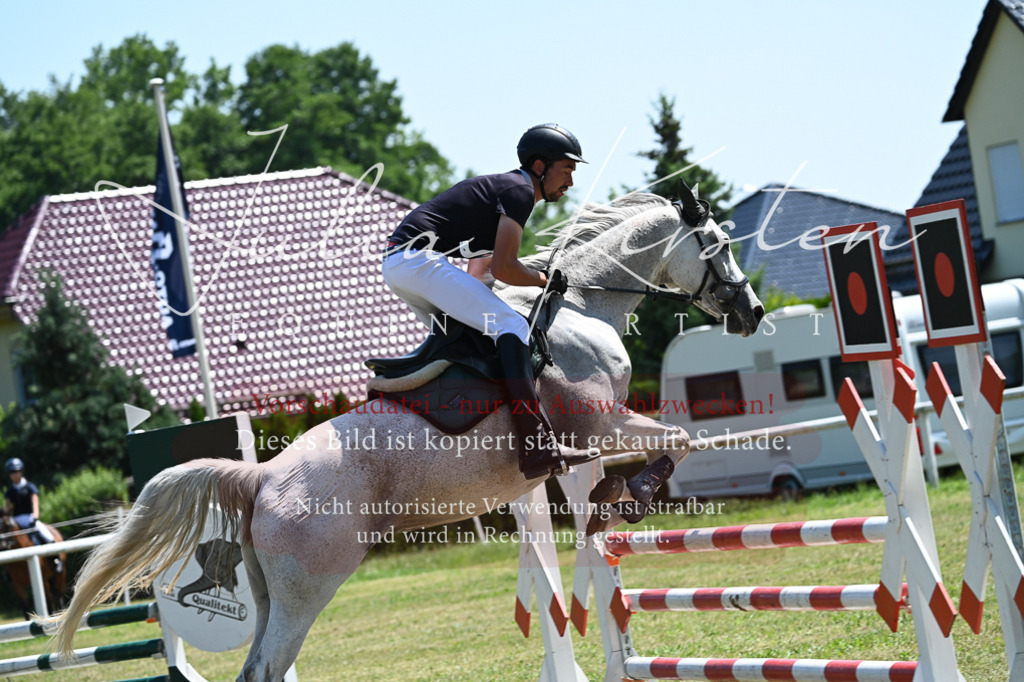 DSC_0687 | Pferde- und Turnierfotografie in Westsachsen. Pferdeportraits, Auftragszeichnungen und intuitive Kunst.