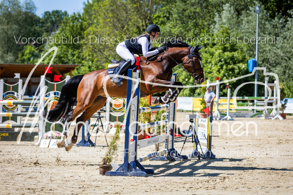 Donop24-M-Spr-053 | MomenTaufnahmen Pferdesportfotos