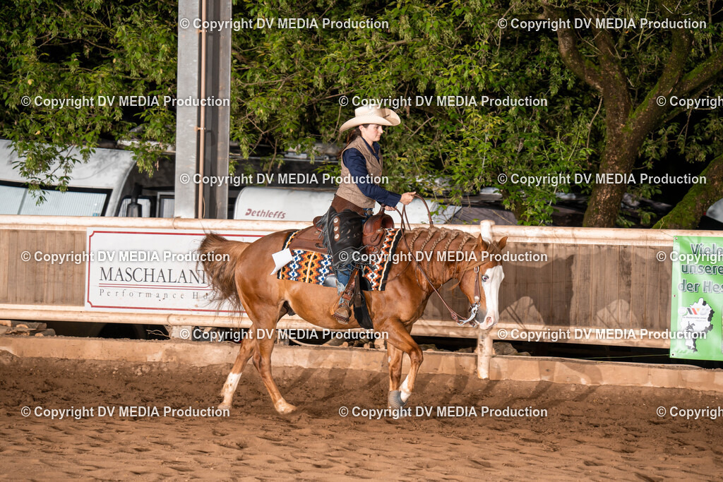 Erbach Tag 1-1261 | dv-media-shop - Realisiert mit Pictrs.com