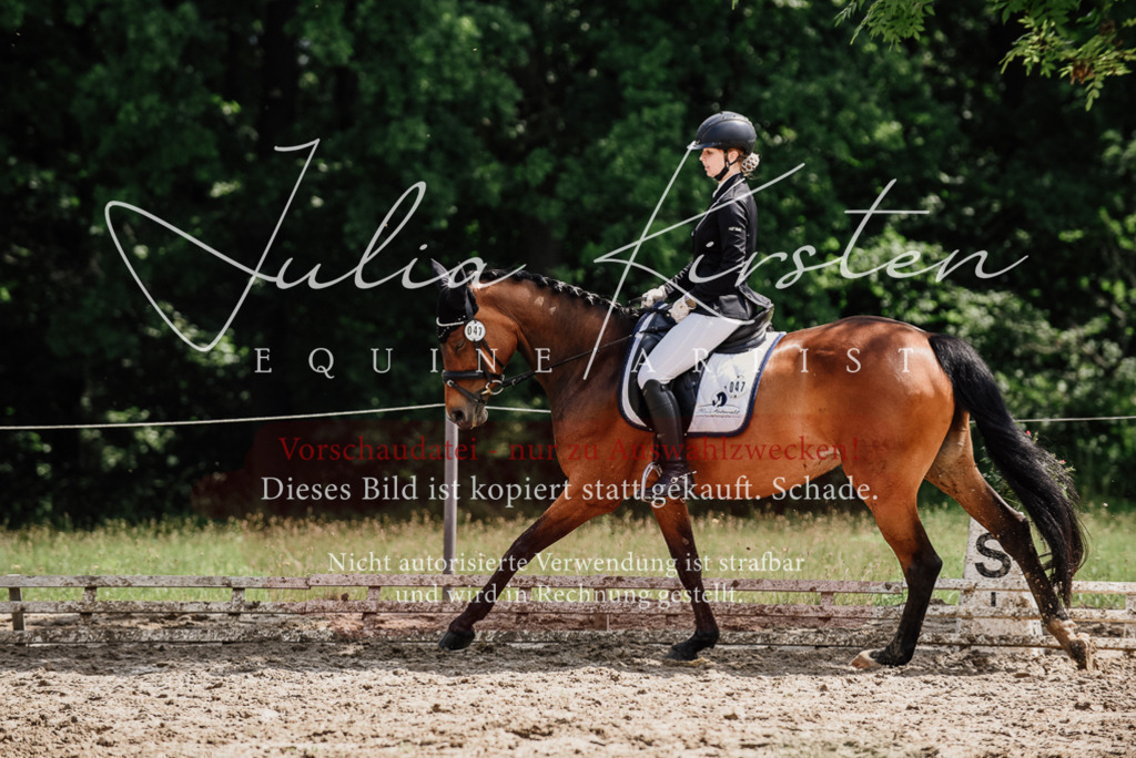 DSC_0934 | Pferde- und Turnierfotografie in Westsachsen. Pferdeportraits, Auftragszeichnungen und intuitive Kunst.
