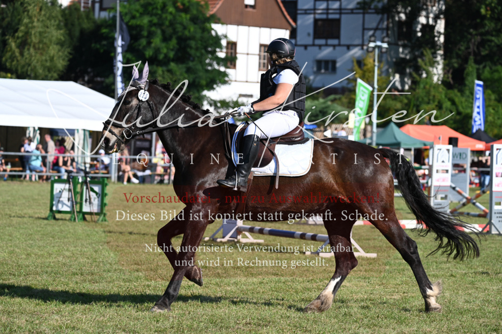 DSC_5182 | Pferde- und Turnierfotografie in Westsachsen. Pferdeportraits, Auftragszeichnungen und intuitive Kunst.