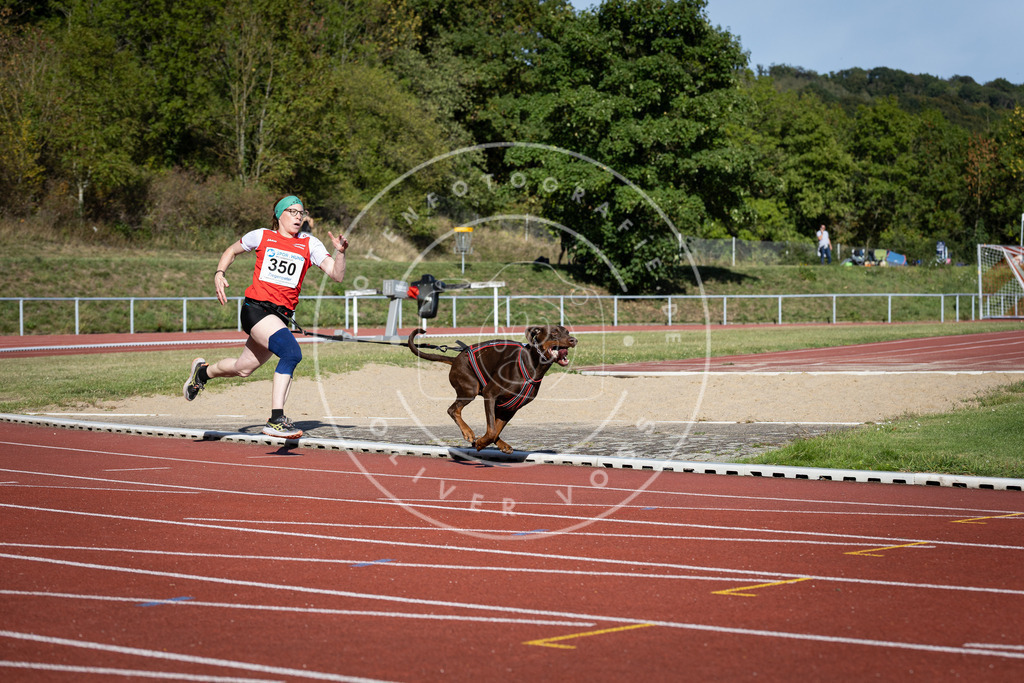 Pfotenfotografie_DV3A9073 | Hundefotografie, Tierfotograf, Pfotenfotografie, Fotoshooting Hund, Hunde Portrait, Hundesport, Hundeportraits, Heideshooting, Hunde, Sportfotograf, Hundefotograf, Turnierhundsport, THS,  - Realisiert mit Pictrs.com