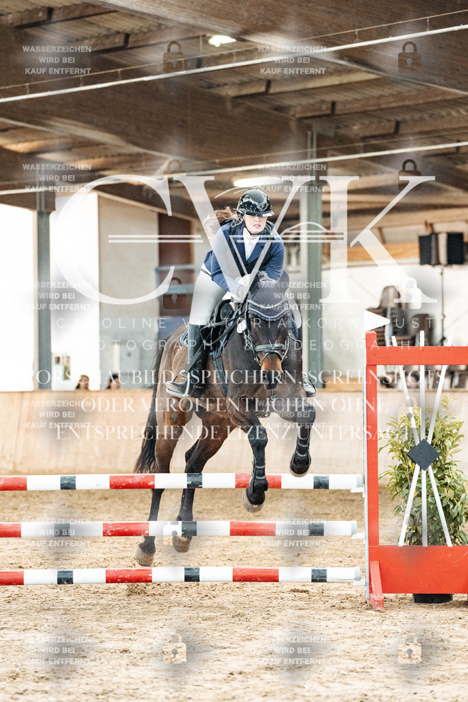 CK904272 | Turnierfotografie Pferdefotografie Trier Rheinland-Pfalz Pferdesport Reitsport Tierfotografie Sportfotografie Pferdevideo Pferdevideografie Equestrianvideography equestrianphotography  - Realized with Pictrs.com