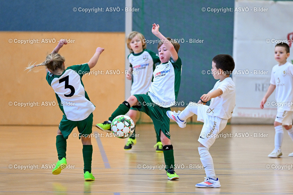 ASVÖ_ Fussballturnier SV Gallneukirchen_ 08.02.2025-52 | 08.02.2025, Gallneukirchen, AUT, ASVÖ, Fussball Nachwuchs Hallenturnier 2025, SV Gallneukirchen im Bild Teilnehmer U 7©Harald Dostal / fodo.media - Realisiert mit Pictrs.com