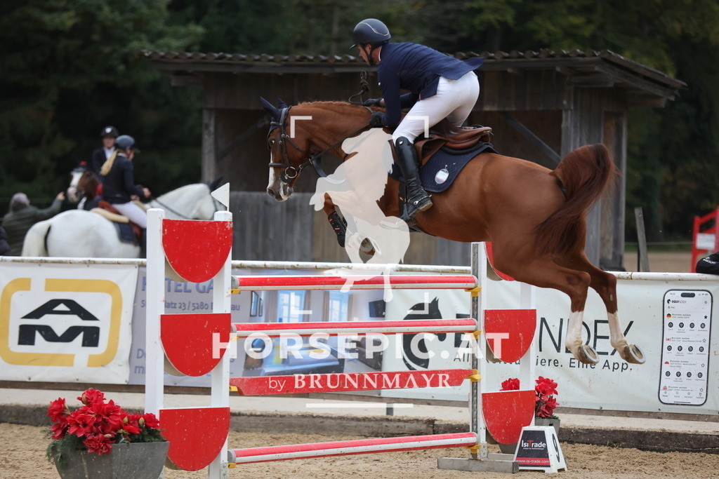 0P6A4973 | Willkommen bei Brunnmayr - Design & Fotografie – Ihrem Spezialisten für Reitturniere und Pferdeveranstaltungen in Oberösterreich, Salzburg und Bayern! Seit über 17 Jahren sind wir leidenschaftlich dabei.