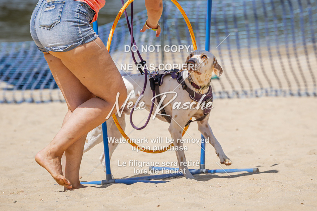 nelerasche_saBeachility_848 | nelerasche