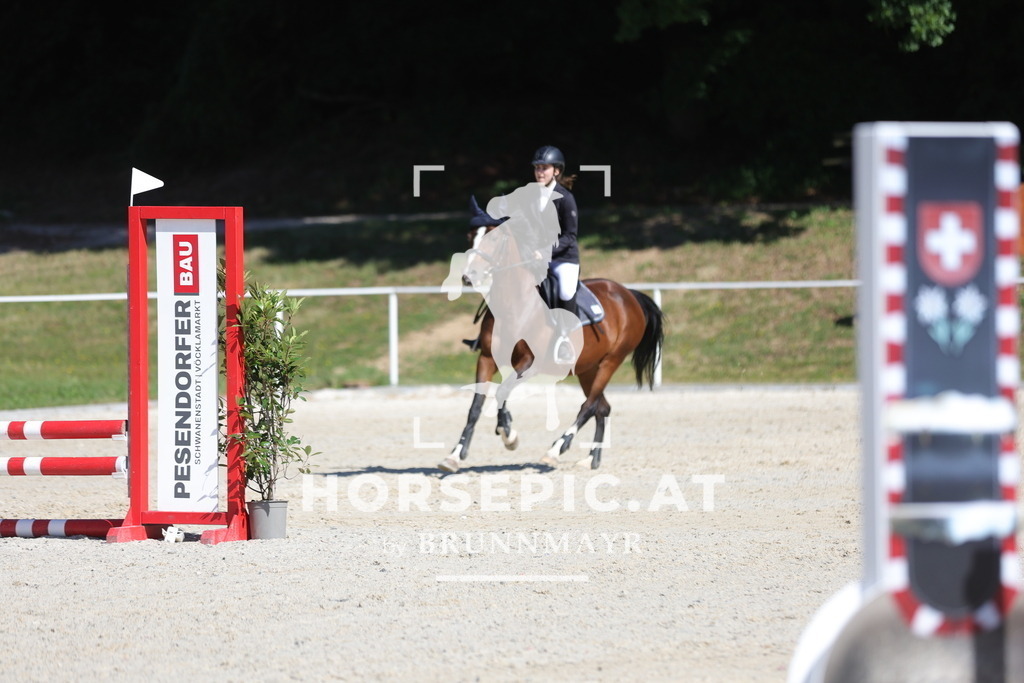 0P6A4204 | Willkommen bei Brunnmayr - Design & Fotografie – Ihrem Spezialisten für Reitturniere und Pferdeveranstaltungen in Oberösterreich, Salzburg und Bayern! Seit über 17 Jahren sind wir leidenschaftlich dabei.