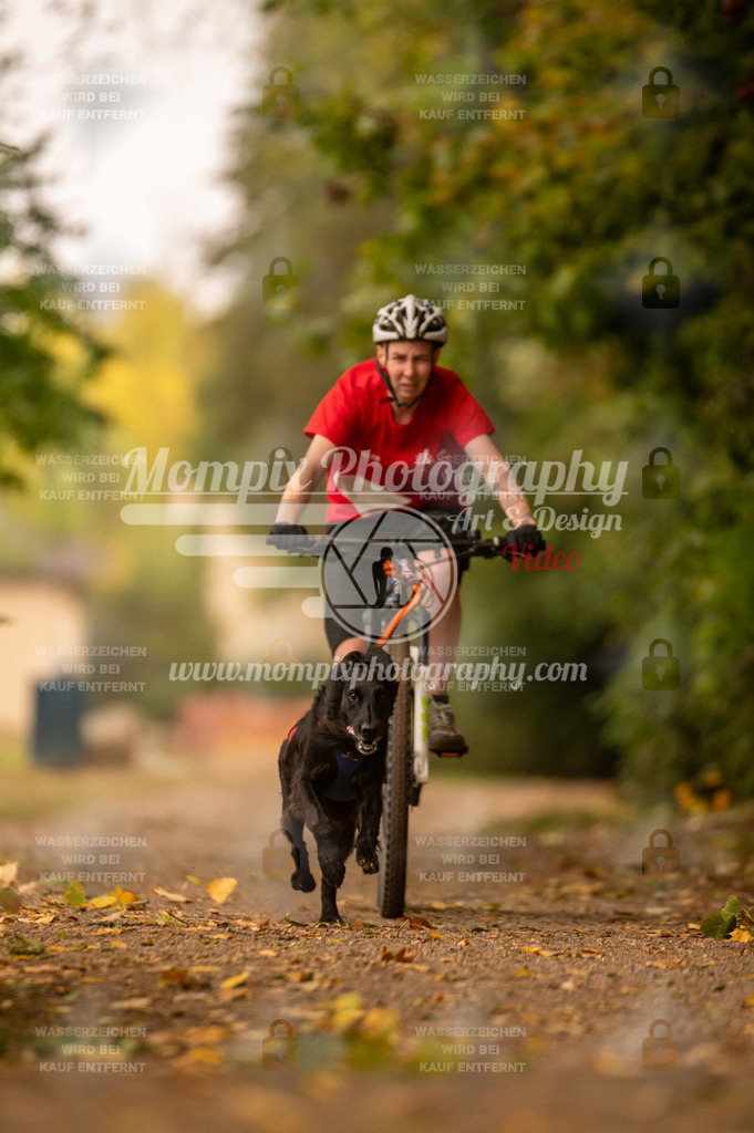 CDLBDB_14_10_2023_Samedi-96 | PayLife