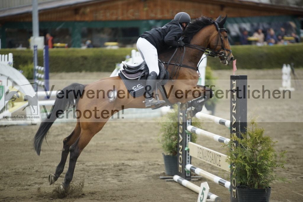 _DSC7357 | equestrian-live-com