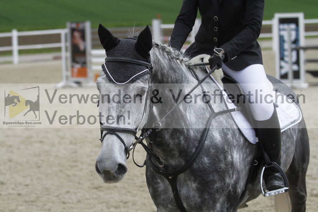 _MG_1860 | equestrian-live-com