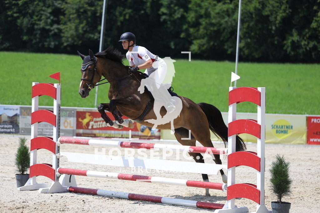 0P6A9538 | Willkommen bei Brunnmayr - Design & Fotografie – Ihrem Spezialisten für Reitturniere und Pferdeveranstaltungen in Oberösterreich, Salzburg und Bayern! Seit über 17 Jahren sind wir leidenschaftlich dabei.