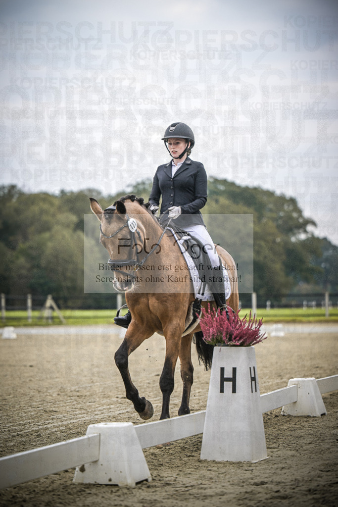 DOS_B415 | Entdecke hochwertige Reitturnierfotos von Foto Oger. Professionell, emotional und authentisch – jetzt Lieblingsmomente im Shop bestellen.Deutschlandweite Turnierfotografie. - Realisiert mit Pictrs.com