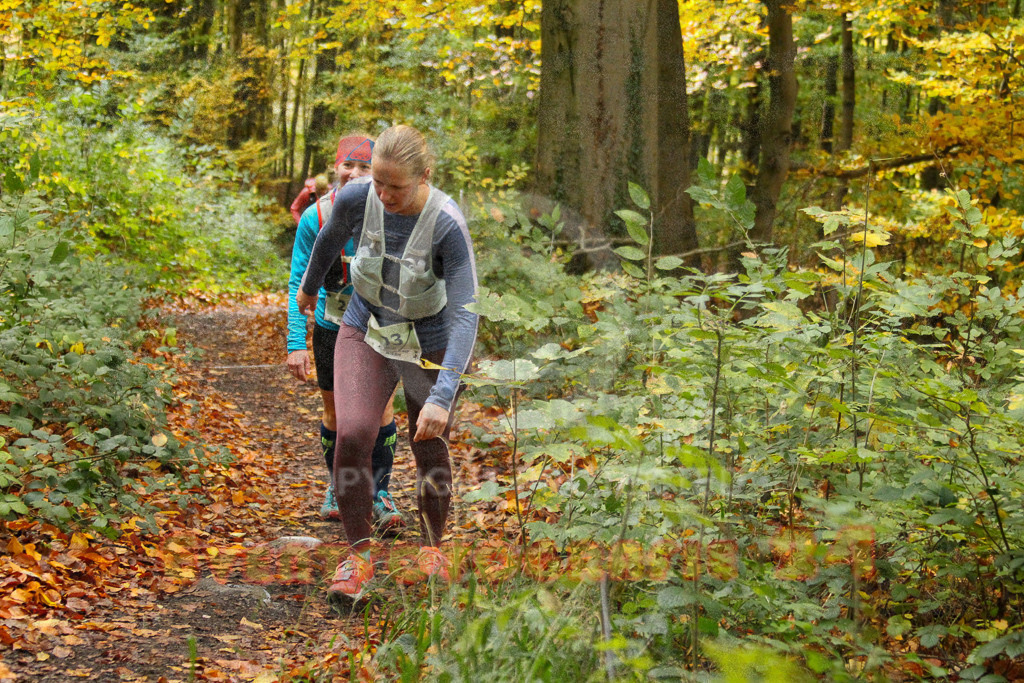 251026_1307_EV4_6537 | Sportfotografie im Rhein-Sieg Kreis, Köln, Bonn, NRW, Rheinland Pfalz, Hessen, etc. Unser Tätigkeitsfeld umfasst den Laufsport vom Volkslauf über den Marathon, Duathlon, Triathon bis zum Ultralauf wie Kölnpfad Ultra oder Schindertrail.