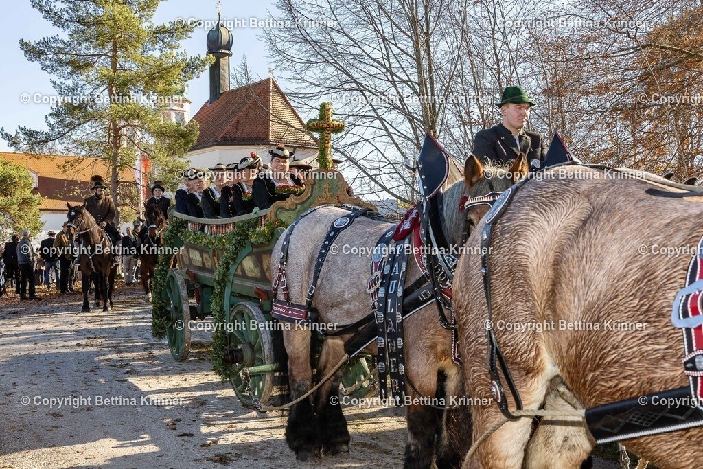 LBT25-1221 | foto-bettina-krinner - Realisiert mit Pictrs.com