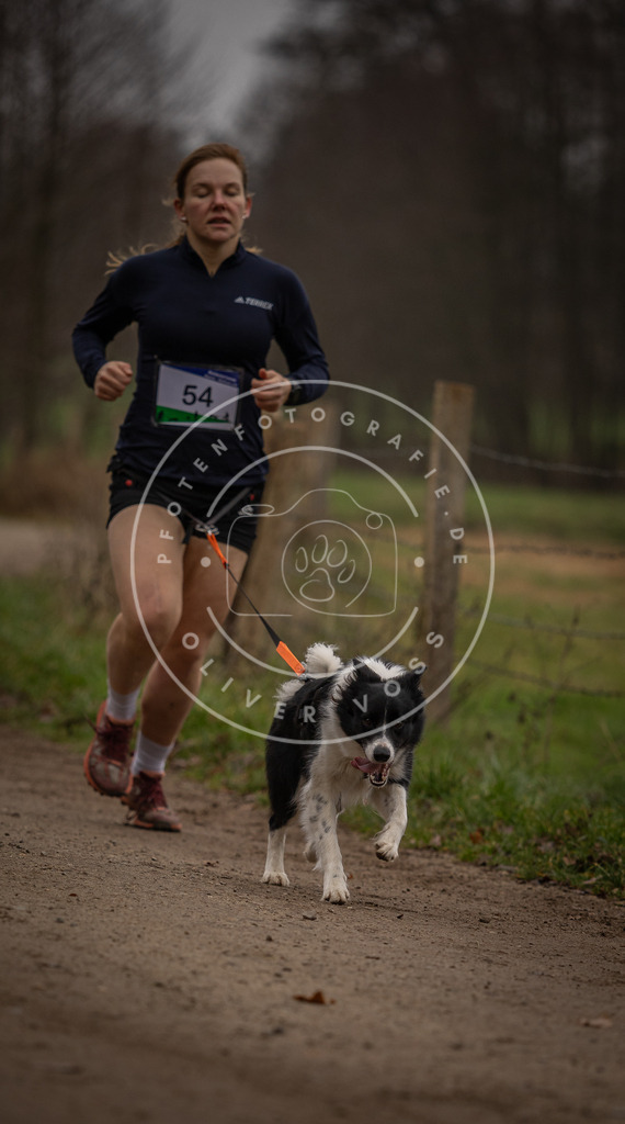 Pfotenfotografie_DV3A2991 | Hundefotografie, Tierfotograf, Pfotenfotografie, Fotoshooting Hund, Hunde Portrait, Hundesport, Hundeportraits, Heideshooting, Hunde, Sportfotograf, Hundefotograf, Turnierhundsport, THS,  - Realisiert mit Pictrs.com