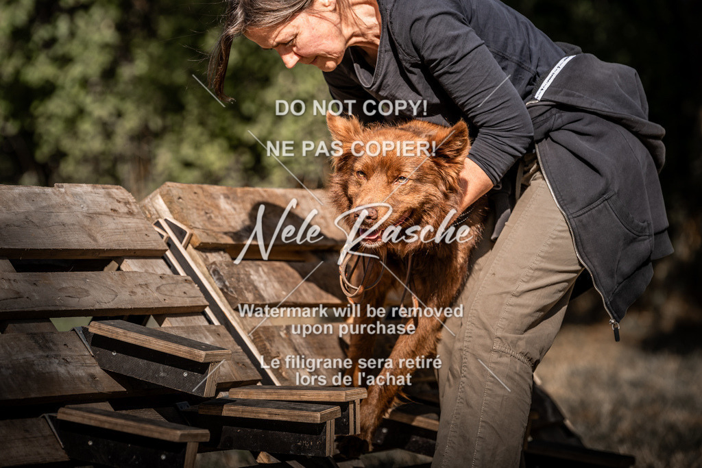 nelerasche_slaw24So_201 | nelerasche