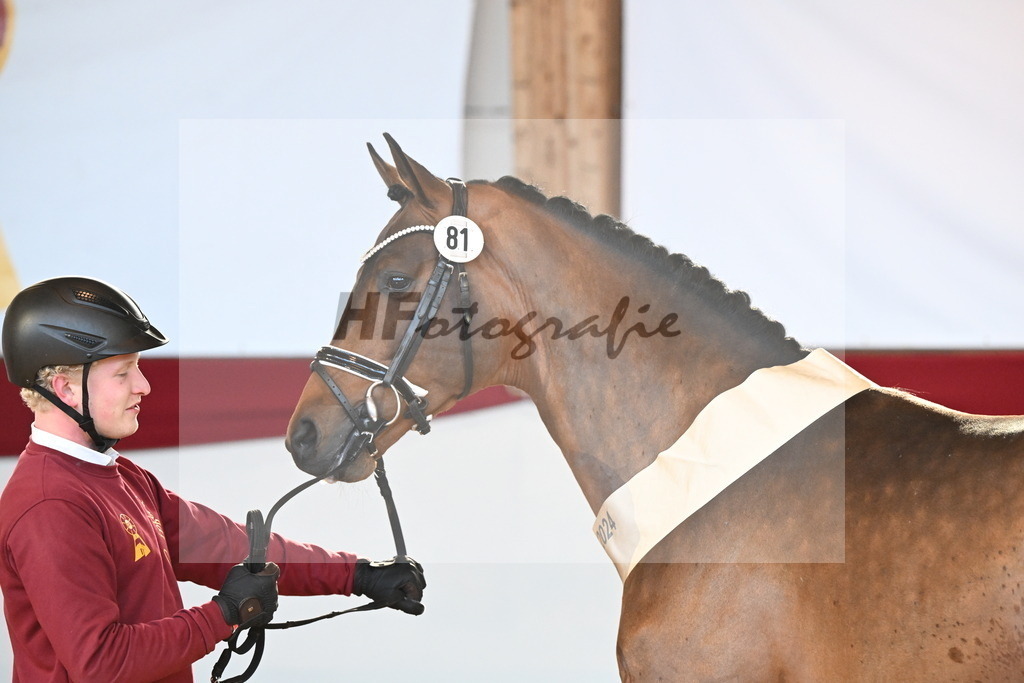 Kat.-Nr. 81 v. Vivino_Freisel_2242918 | hf-fotografie - Realizzato con Pictrs.com