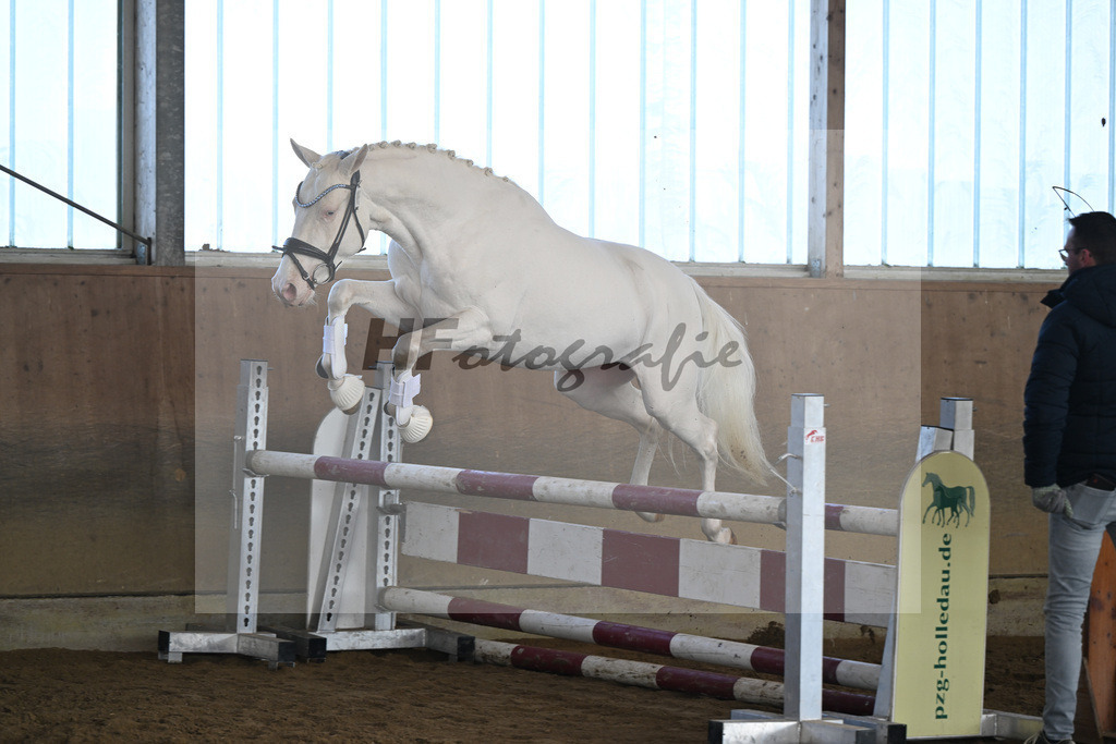 Kat-Nr. 5 EMR Gamarelli v. Giotto_Rupp_49250151 | hf-fotografie - Realisiert mit Pictrs.com