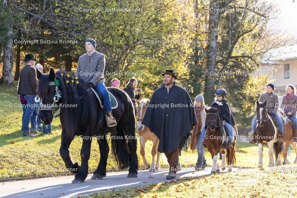 LL24-210 | foto-bettina-krinner - Realisiert mit Pictrs.com