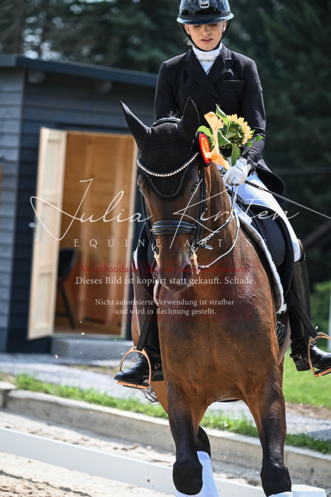 DSC_2668 | Pferde- und Turnierfotografie in Westsachsen. Pferdeportraits, Auftragszeichnungen und intuitive Kunst.