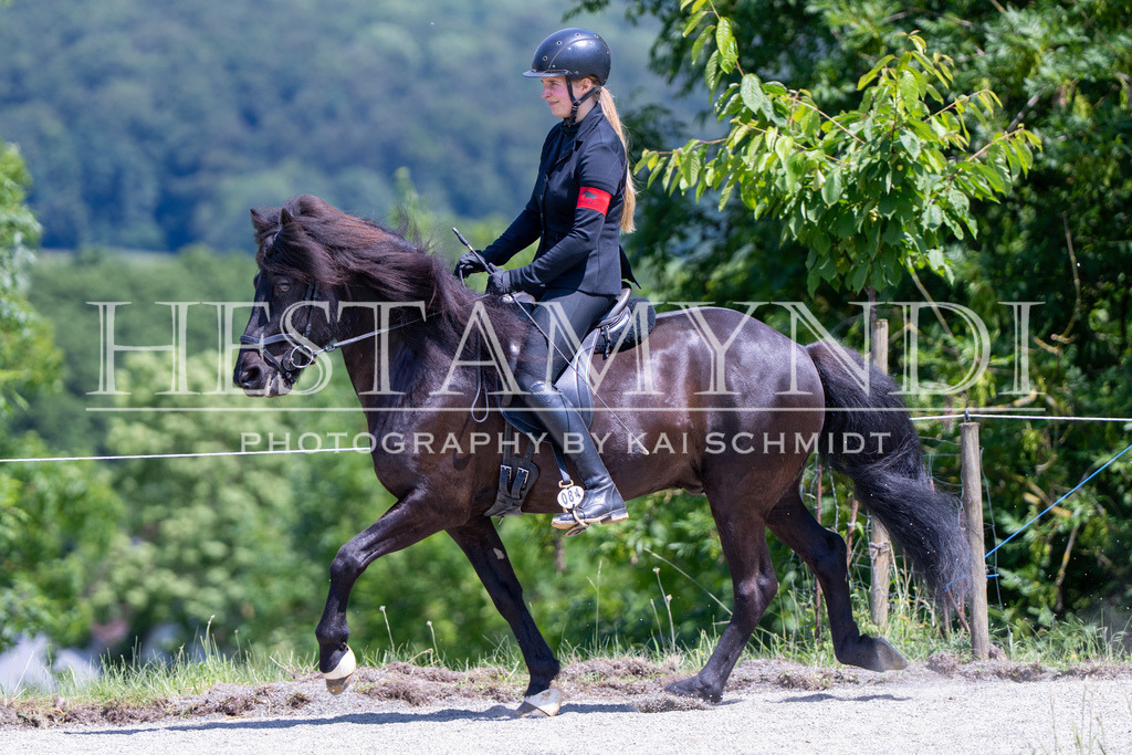 KAI03621 | Ihr sucht einen Fotografen für eure nächste OSI? Ich begleite auch euer Turnier für Islandpferde fotografisch.  - Realisiert mit Pictrs.com