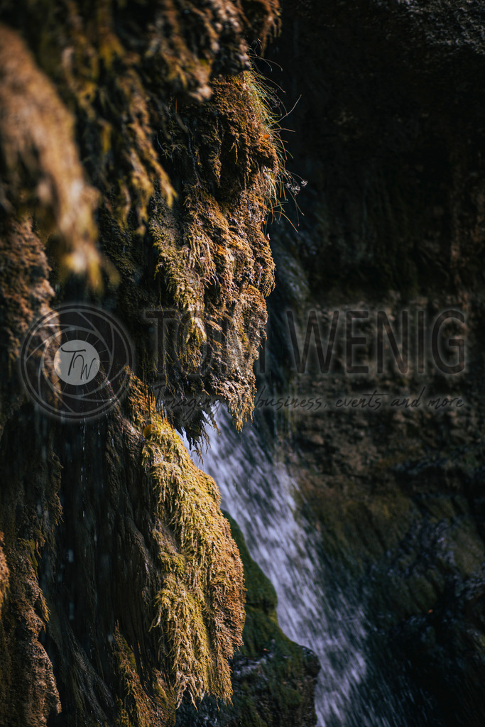 IMG_4743 | Fotos:
Tom Wenig
https://www.tomwenig.de - Realisiert mit Pictrs.com