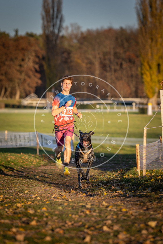 CaniXpix_DV3A4880 | Hundefotografie, Tierfotograf, Pfotenfotografie, Fotoshooting Hund, Hunde Portrait, Hundesport, Hundeportraits, Heideshooting, Hunde, Sportfotograf, Hundefotograf, Turnierhundsport, THS,  - Realisiert mit Pictrs.com