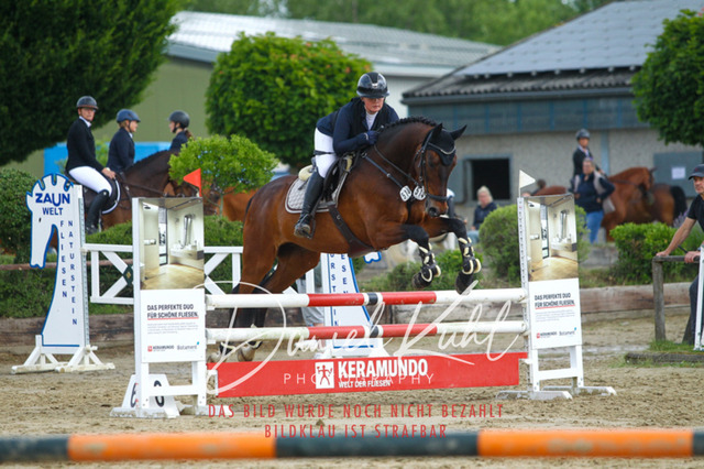 DKP41502 | Turniersportfotografie; Pferdefotografie; Dressurfotografie