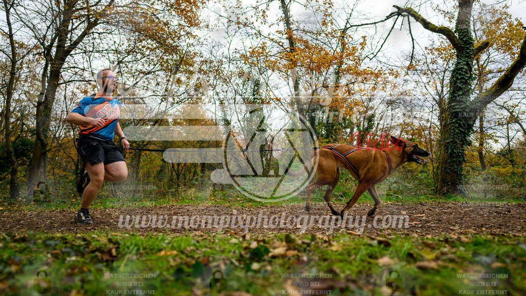 MompixPhotography_Bischwiller24_DI_CoursedeRelais-55 | PayLife