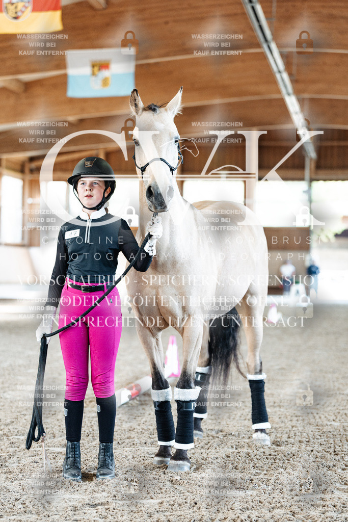 CK905350 | Turnierfotografie Pferdefotografie Trier Rheinland-Pfalz Pferdesport Reitsport Tierfotografie Sportfotografie Pferdevideo Pferdevideografie Equestrianvideography equestrianphotography  - Realisiert mit Pictrs.com