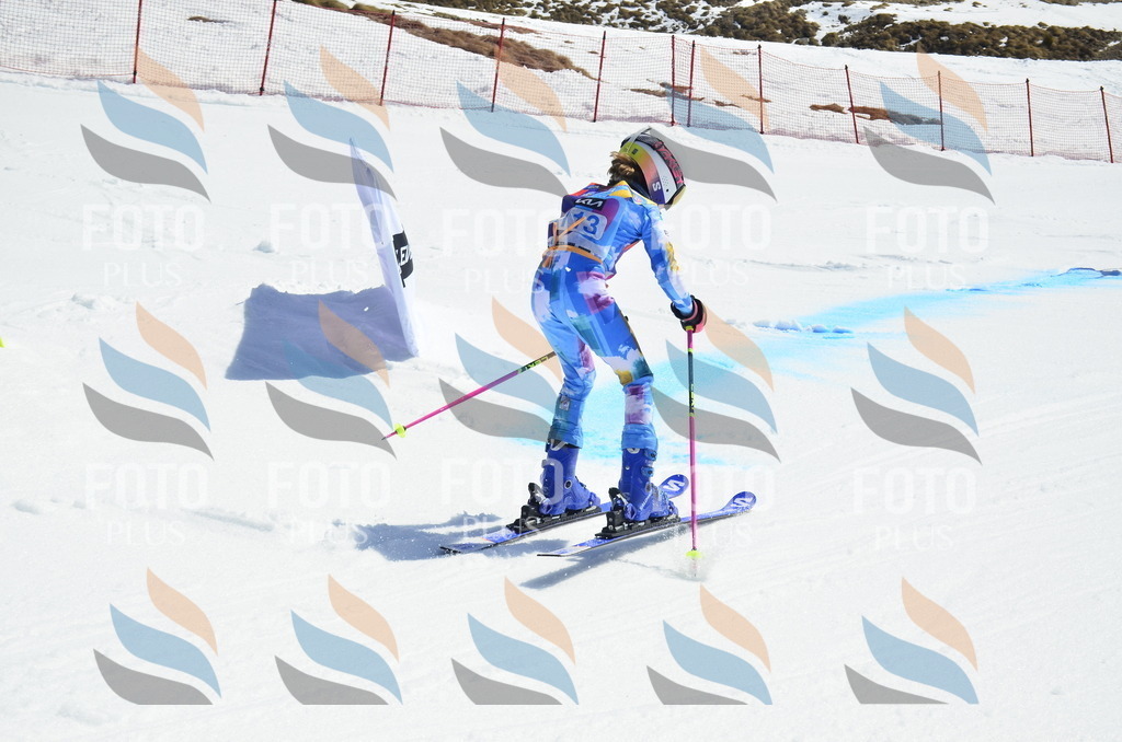 _ELE0668 | holidayphoto