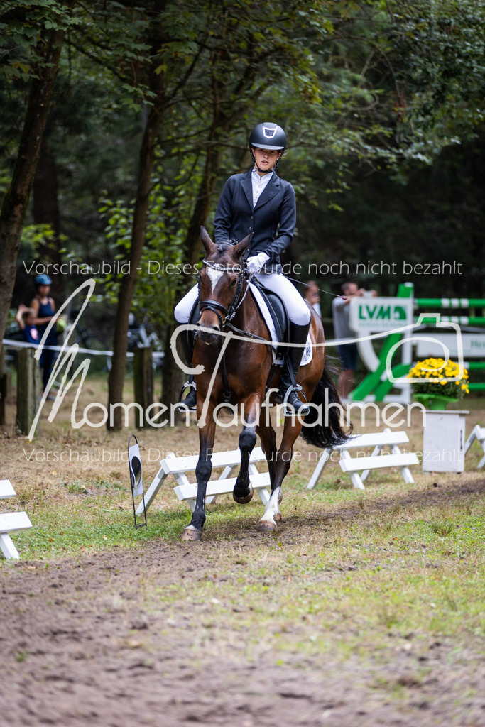 HB-Reiter-WB-073 | MomenTaufnahmen Pferdesportfotos