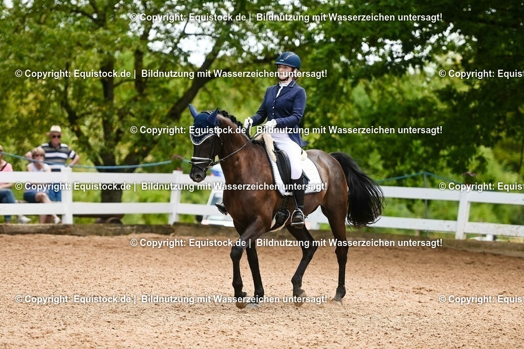 20230716_03_Dressurprfg. Kl.L - Tr._0640 | equistock