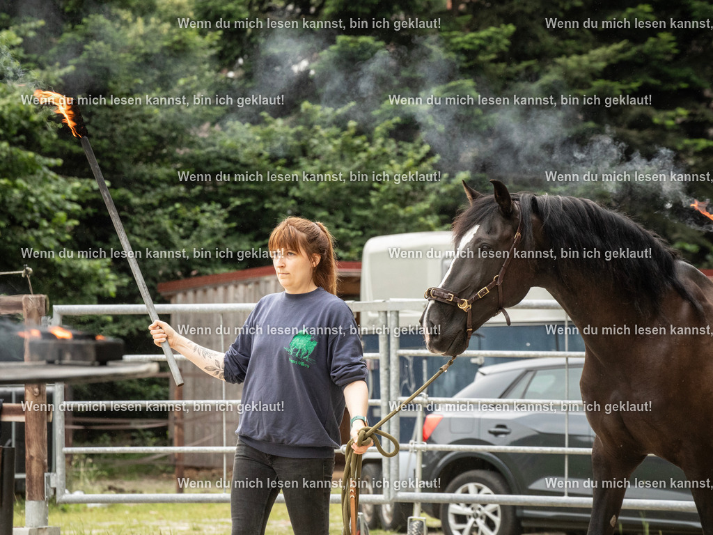 598A7120 | photographylinaismer - Realisiert mit Pictrs.com