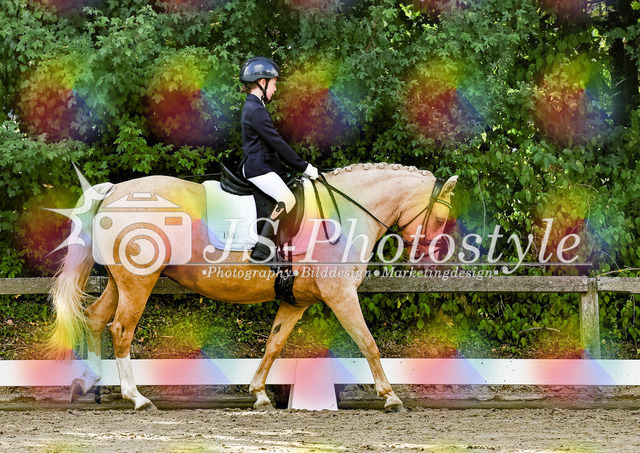 20250726_Dressur-E-105 | JS-Photostyle - Sport-/Portrait- & Eventfotografie
