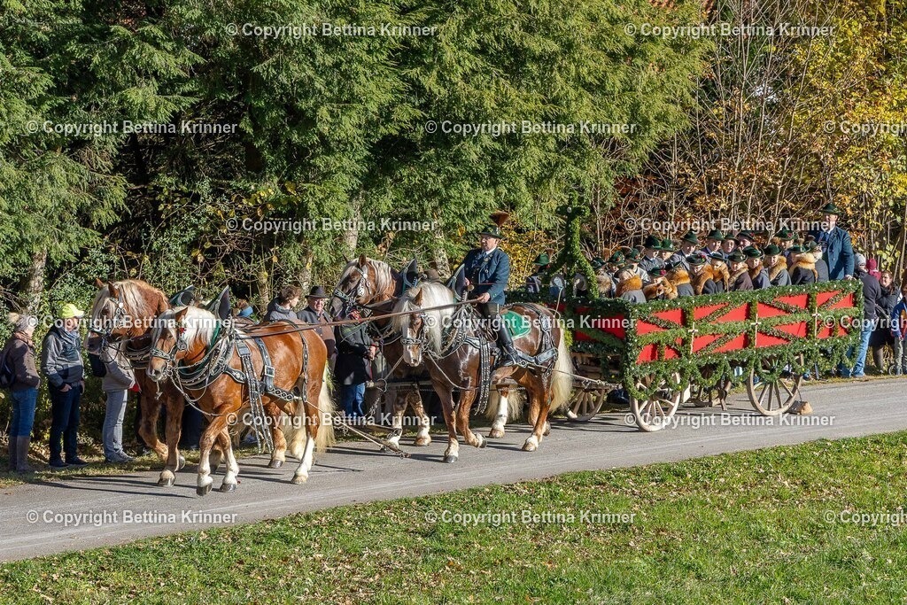 LBT25-143 | foto-bettina-krinner - Realisiert mit Pictrs.com