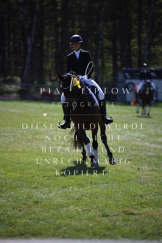 IMGT5564 | pl-fotografie