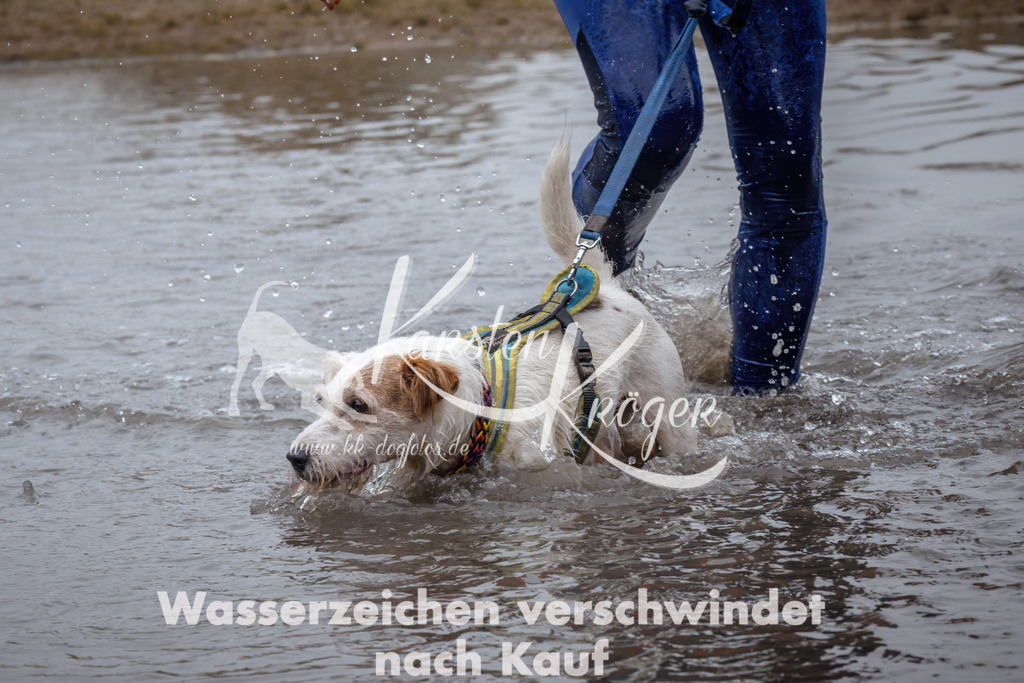 0921_ZZ94844 | kk-dogfotos
