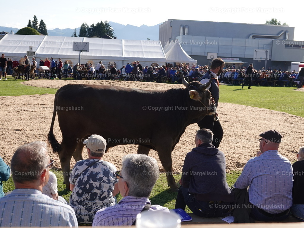 DSC05555 | Schwingen - Realisiert mit Pictrs.com