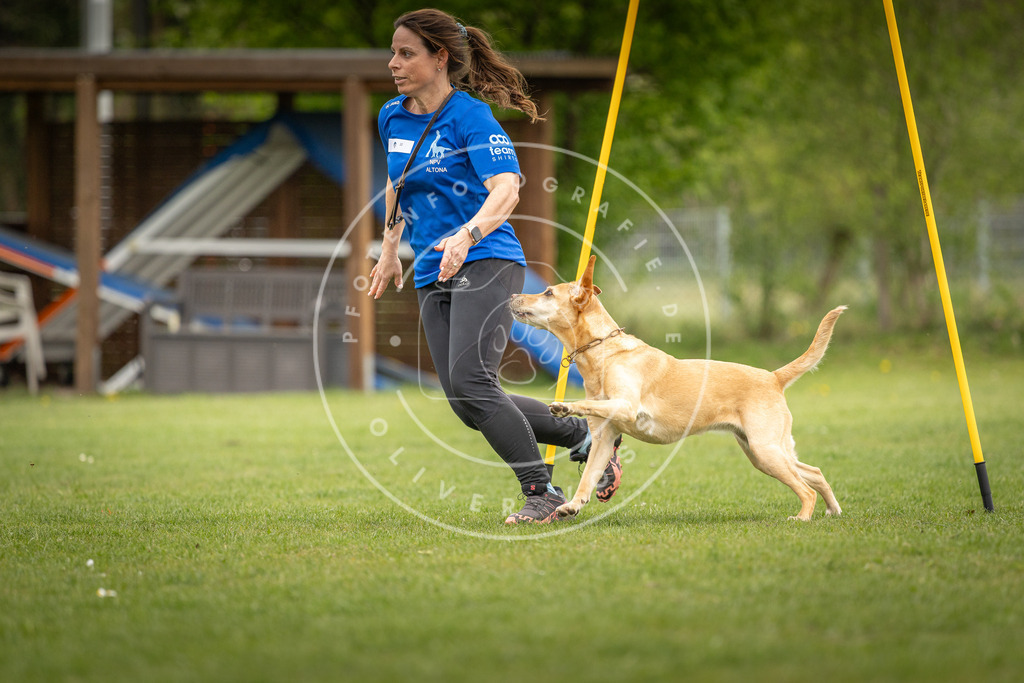 Pfotenfotografie_DV3A0034 | Hundefotografie, Tierfotograf, Pfotenfotografie, Fotoshooting Hund, Hunde Portrait, Hundesport, Hundeportraits, Heideshooting, Hunde, Sportfotograf, Hundefotograf, Turnierhundsport, THS,  - Realisiert mit Pictrs.com