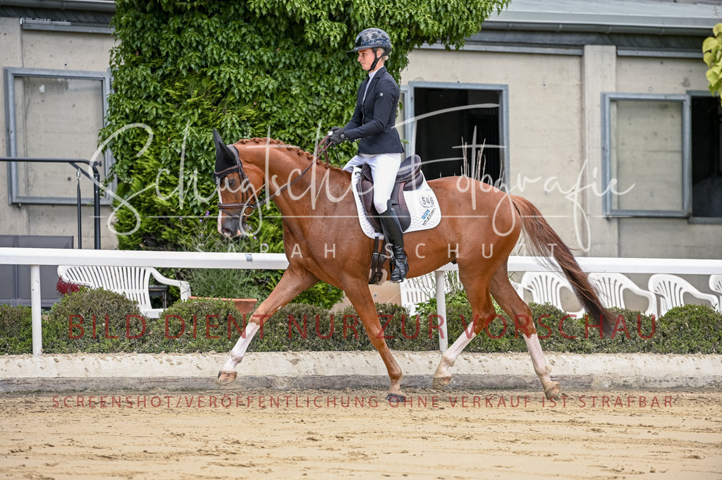 Schugtsche-Aluta25-48.Reitpferfdeprf.-142 | Schugtsche Fotografie - Realisiert mit Pictrs.com