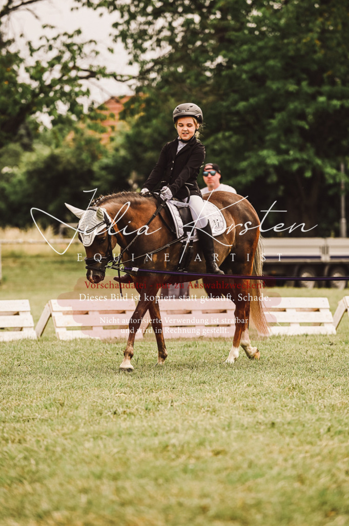 DSC_5222 | Pferde- und Turnierfotografie in Westsachsen. Pferdeportraits, Auftragszeichnungen und intuitive Kunst.
